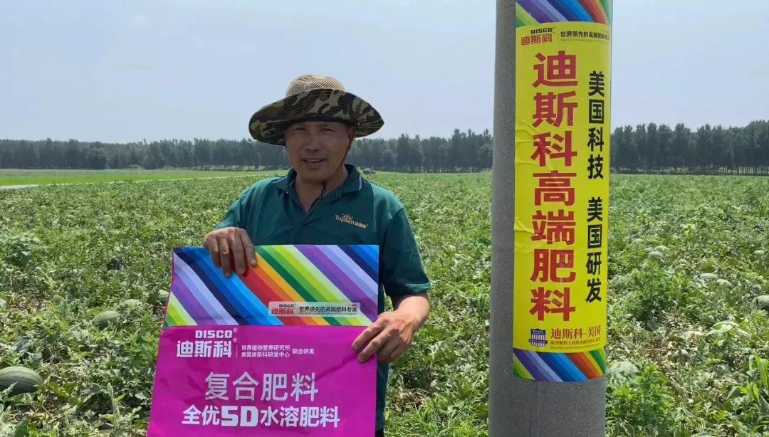 迪斯科5D水溶复合肥料 让新疆葡萄增产增收、甜如蜜的秘密武器